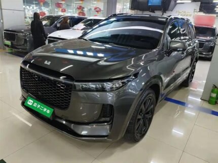 The One Movie Jet Li Thrill: Biggest Chinese EV Companies