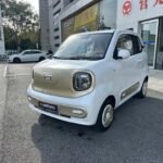 Tiniest Horse World 2025 Biggest Chinese EV Companies