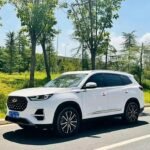 Top-Condition Used Tiggo 8 PLUS