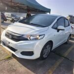 Turbo Honda Fit 2020 Biggest Chinese EV Companies Parallel
