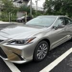 Used Lexus ES 2024 Hybrid - China Export