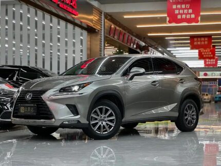 Used Lexus NX 2018: China Exporter