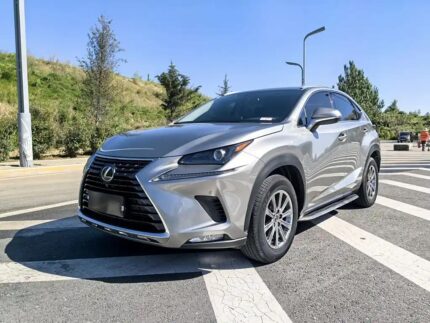 Used Lexus NX 2020: China Exporter
