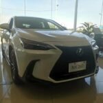 Used Lexus NX 2024 2.5L Petrol SUV