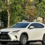 Used Lexus NX 2.5L Hybrid: China Export