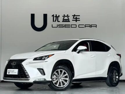 Used Lexus NX 2L Petrol: China Export
