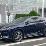 Used Lexus RX 2020 4WD: China Export