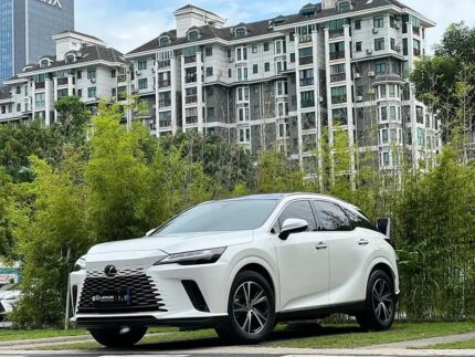 Used Lexus RX 2.5L Hybrid: China Deal